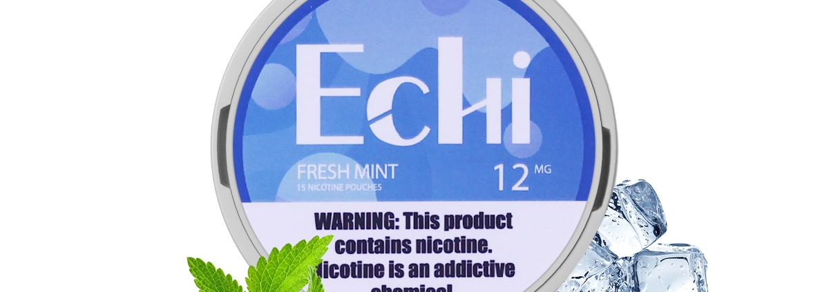 Echi Fresh Mint Nicotine Pouches