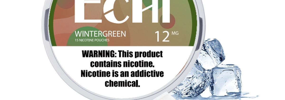 Echi Winter green Nicotine Pouches