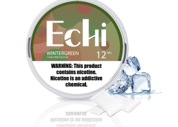 Echi Winter green Nicotine Pouches
