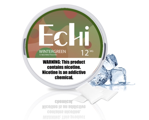 Echi Winter green Nicotine Pouches