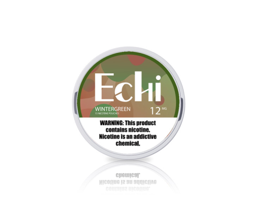 Echi Winter green Nicotine Pouches