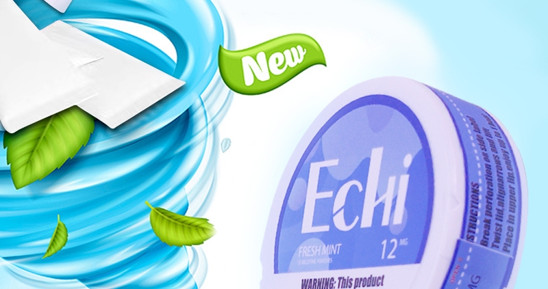 Echi Fresh Mint Nicotine Pouches pic3