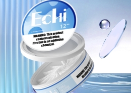 Echi Fresh Mint Nicotine Pouches pic4