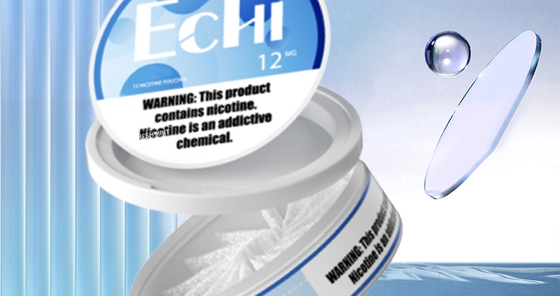 Echi Fresh Mint Nicotine Pouches pic4
