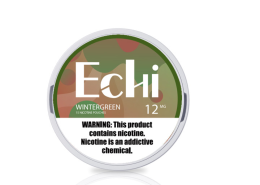 Echi Winter green Nicotine Pouches